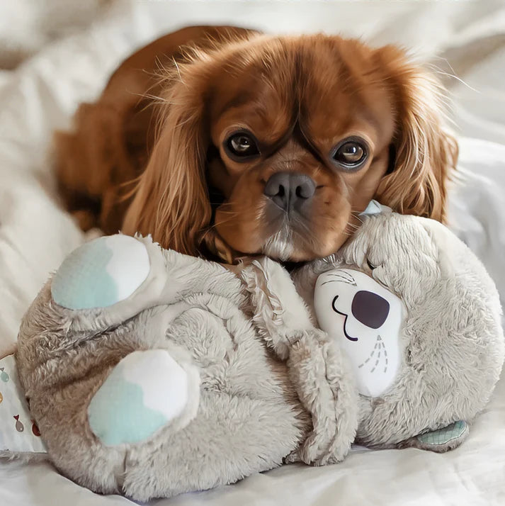Calming Otter Plush